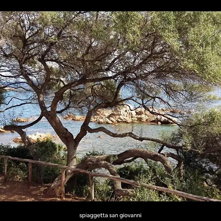 Su Cilleri E Silbiu דירה באוני